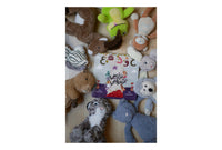 Peekaboo ABC